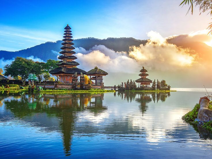 Website Travel Bali